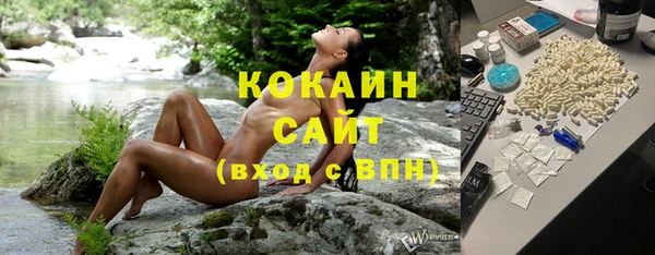 шишки Абинск