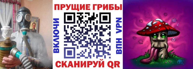 omg маркетплейс  Александров  Галлюциногенные грибы Psilocybine cubensis 